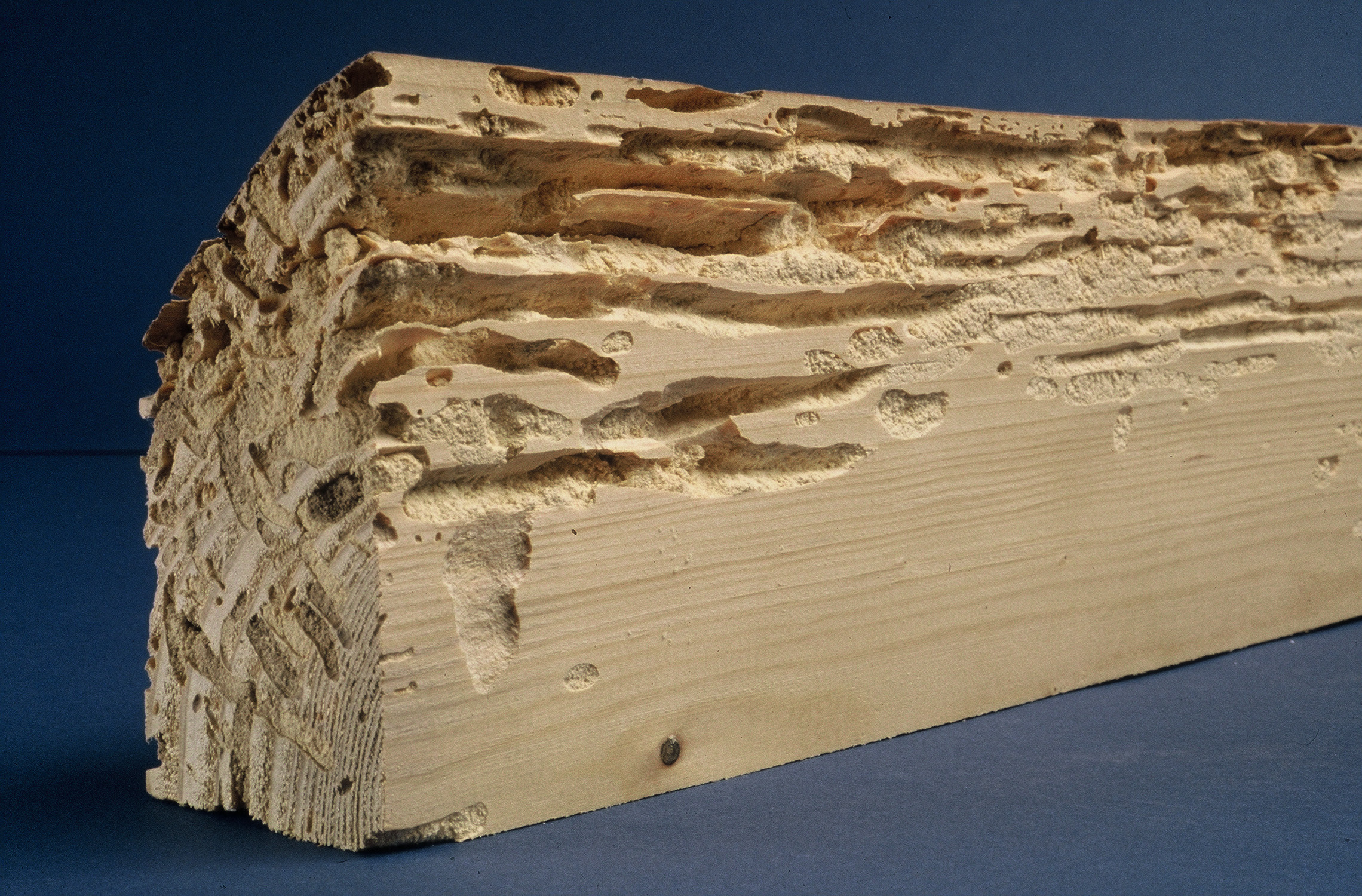 Traitement de charpente, bois à Perpignan